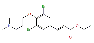 Ethyl 3,5-Dibromo-4-[3-(dimethylamino)-propoxy]cinnamate
